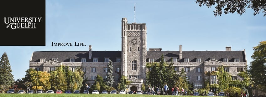 Fully Funded PhD in Population Medicine