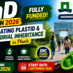 Fully Funded PhD Position in Plant