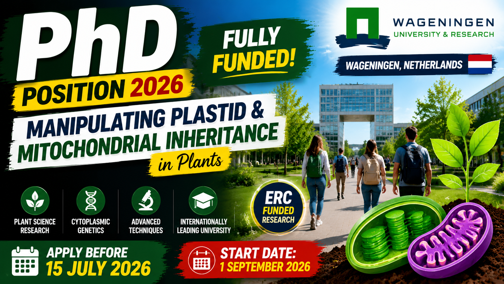Fully Funded PhD Position in Plant